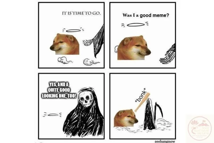ảnh meme động vật