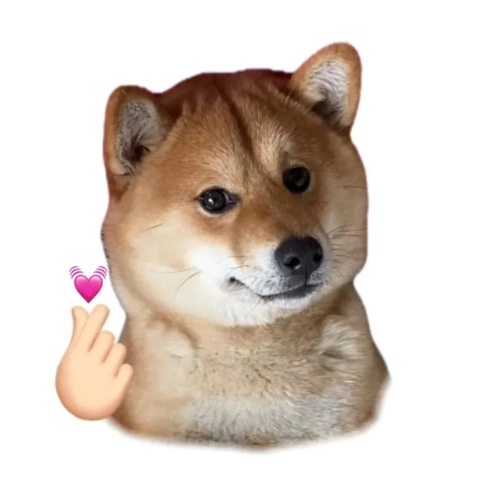 ảnh meme động vật