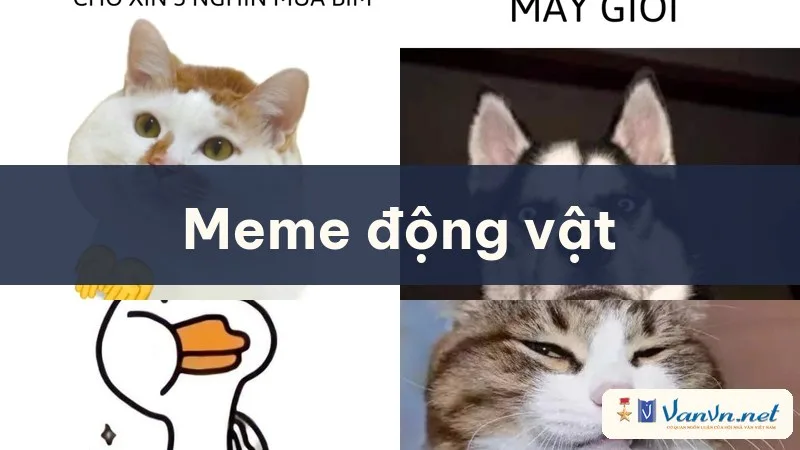 meme động vật