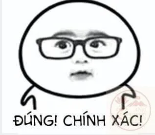 ảnh chế đồng ý