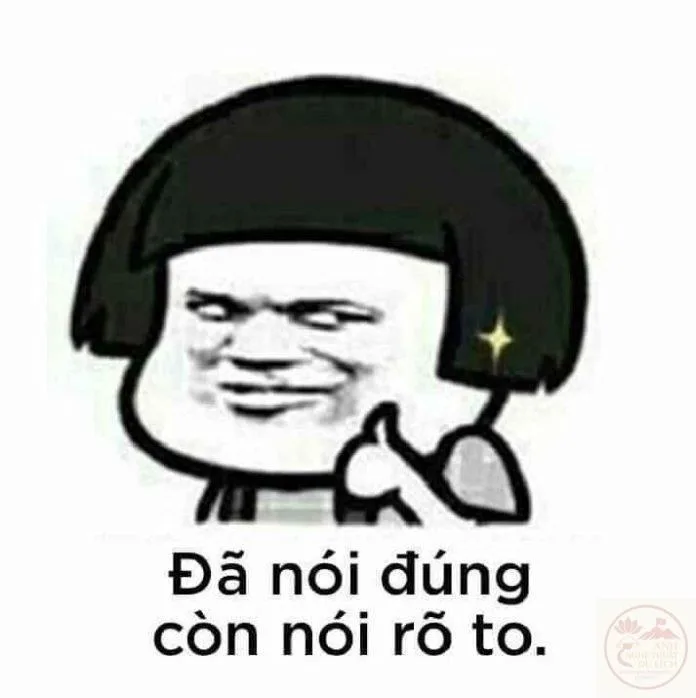 ảnh chế đồng ý