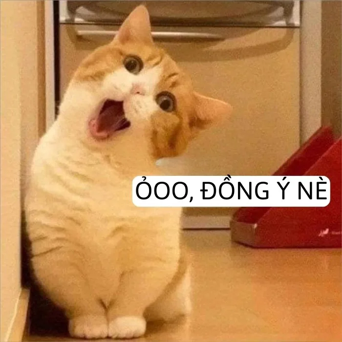meme em đồng ý