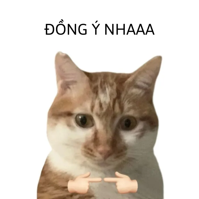 meme em đồng ý