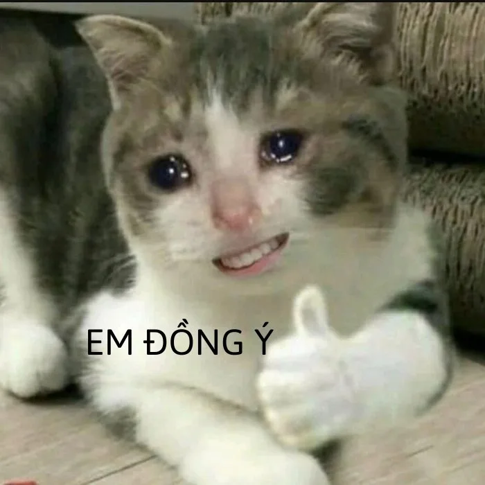 meme em đồng ý