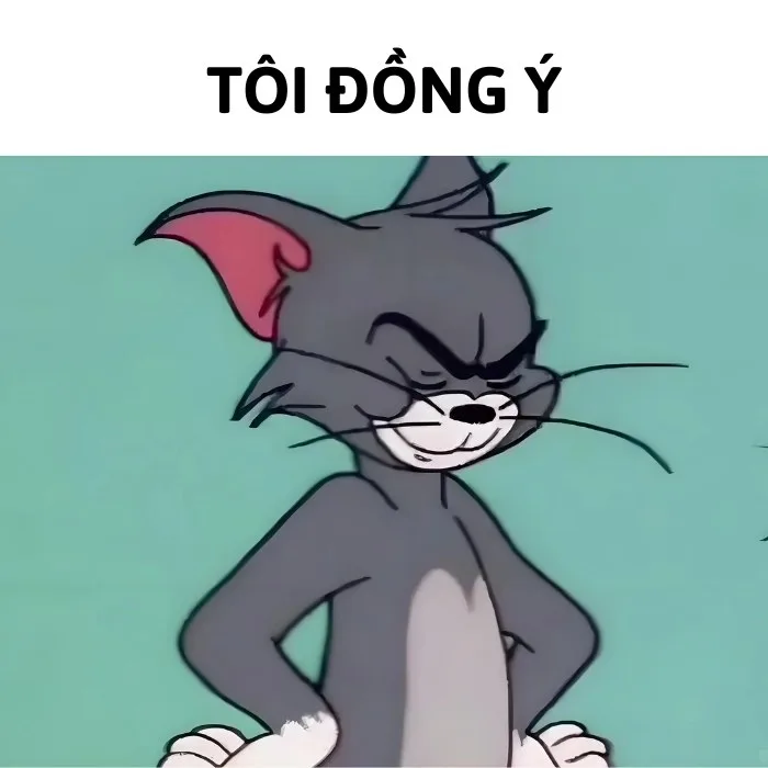 ảnh chế đồng ý