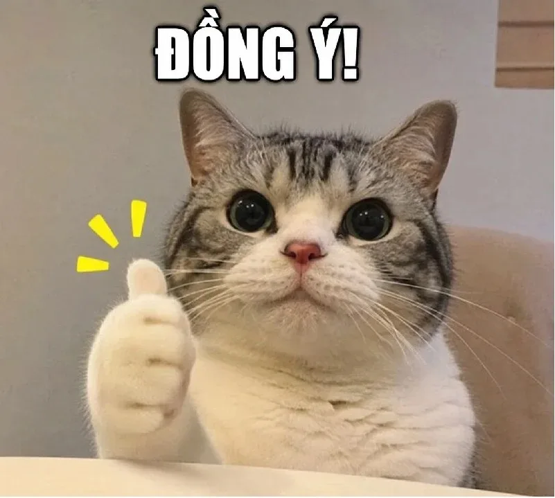 ảnh chế đồng ý