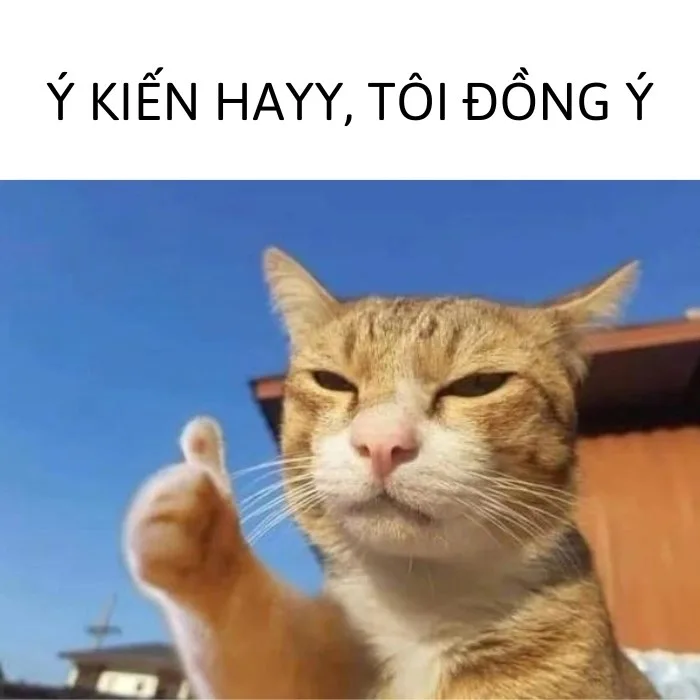 ảnh chế đồng ý