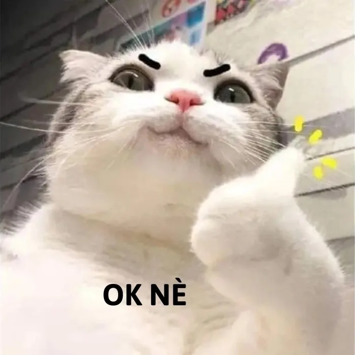 meme đồng ý
