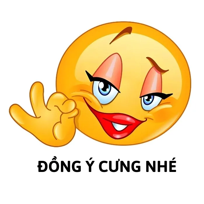 meme đồng ý