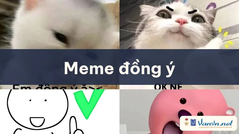 meme đồng ý