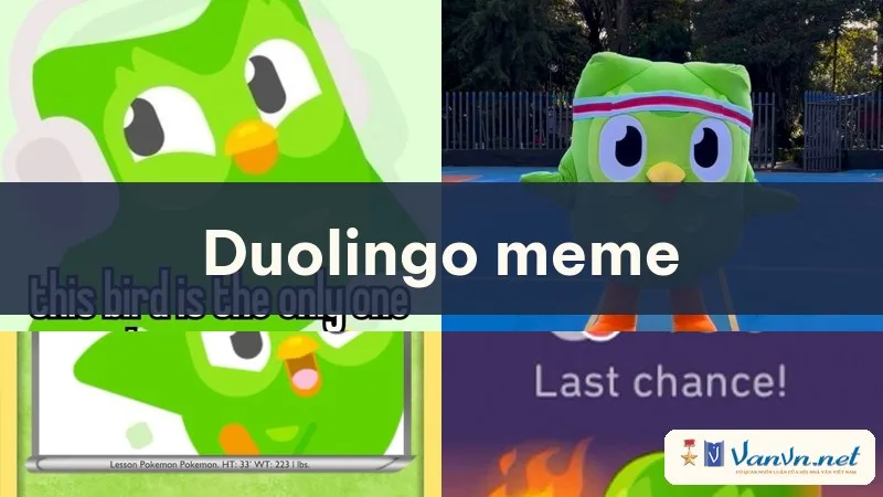 duolingo meme