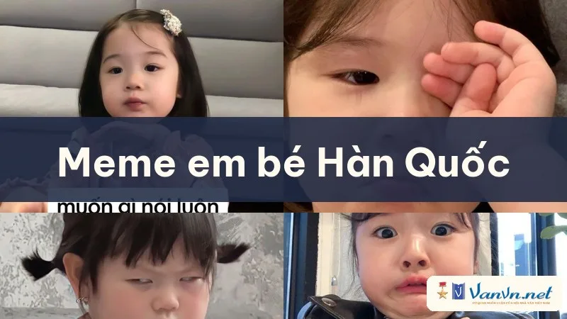 meme em bé hàn quốc