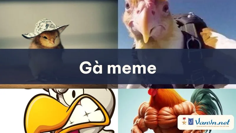 gà meme