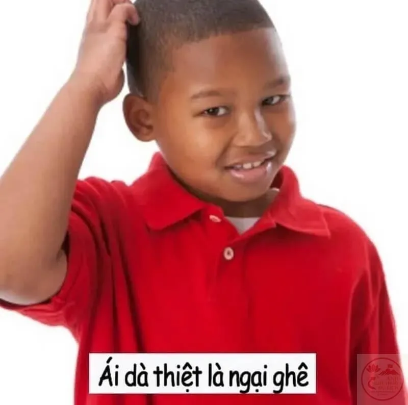 meme gãi đầu ngại ngùng