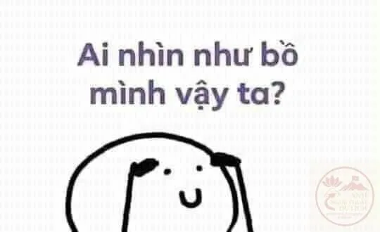 meme gãi đầu khó hiểu