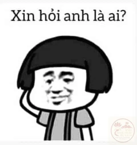 meme gãi đầu khó hiểu