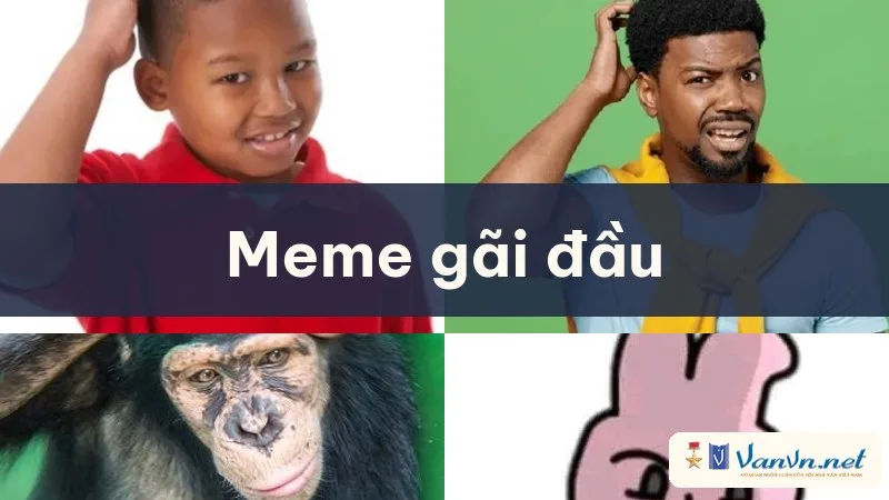 meme gãi đầu