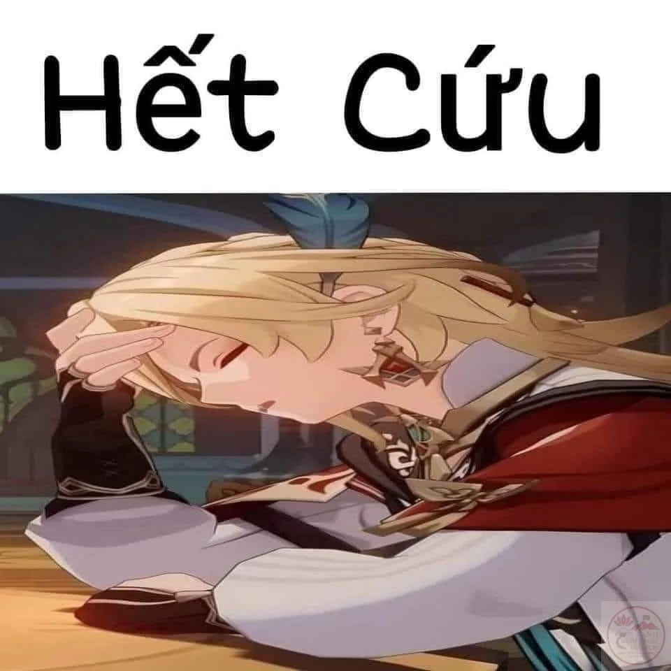 meme genshin hết cứu