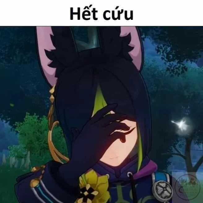 meme genshin hết cứu