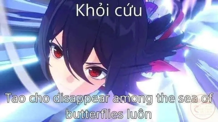 meme genshin hết cứu