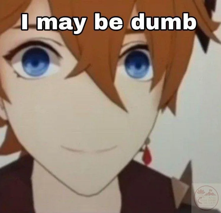 meme genshin impact