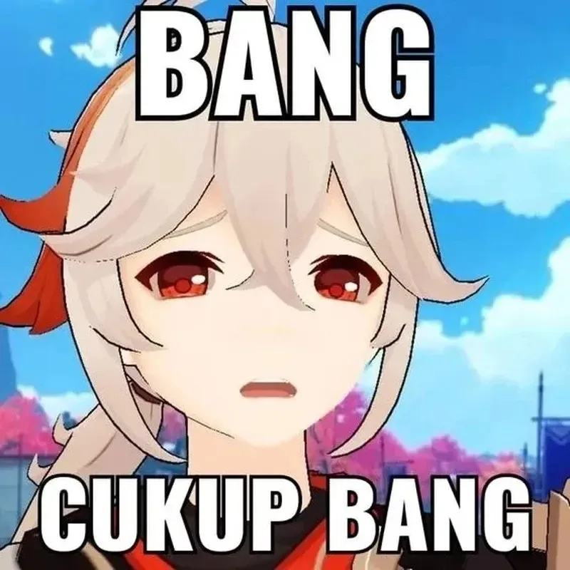 meme genshin impact