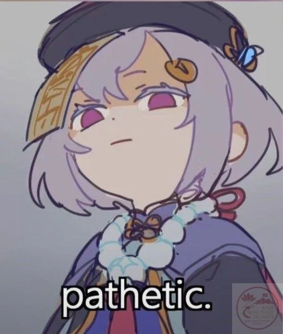 meme genshin impact