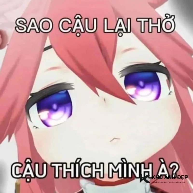 genshin impact meme việt nam