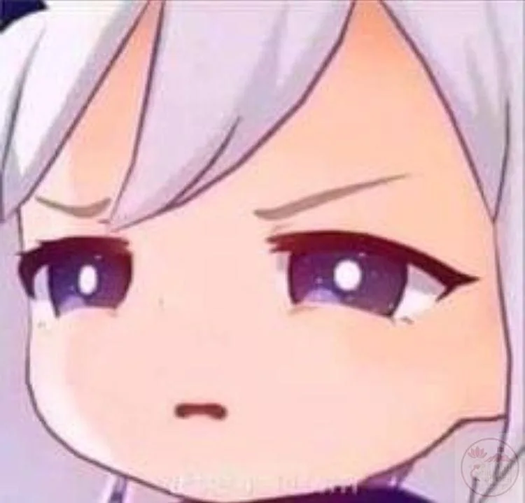 meme genshin impact