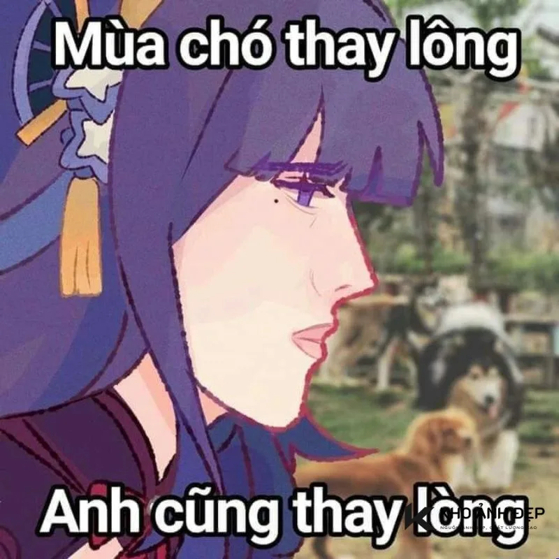 genshin impact meme việt nam