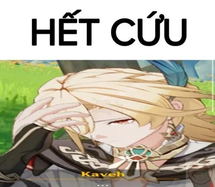 meme genshin hết cứu