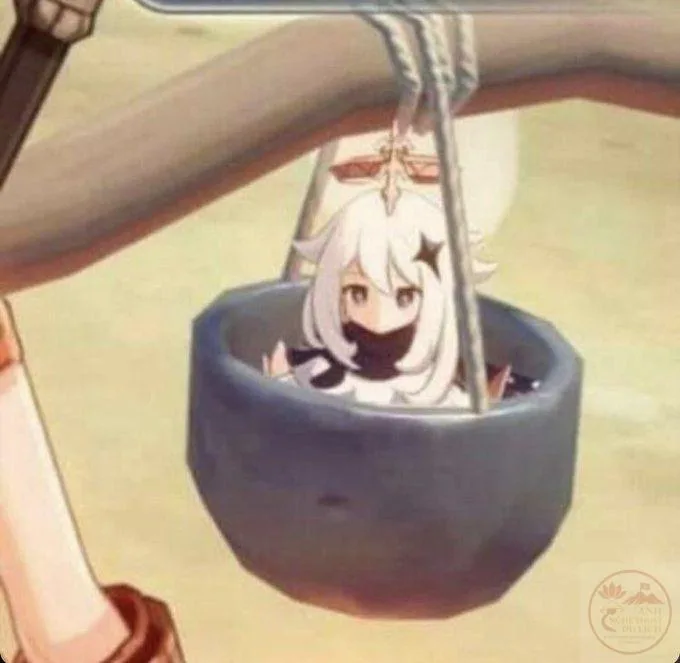 meme genshin impact