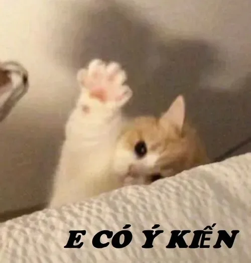 meme giơ tay
