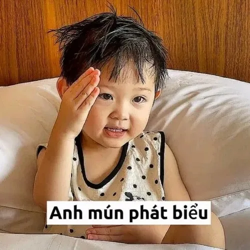 meme giơ tay