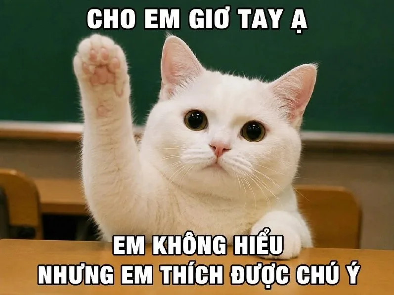 meme giơ tay