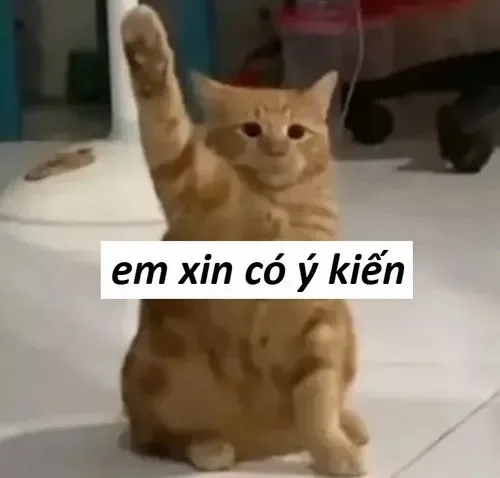 meme giơ tay