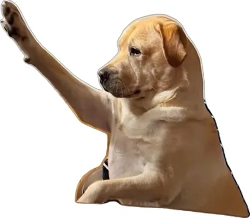 meme giơ tay