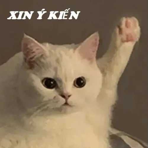 meme giơ tay