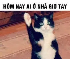 meme giơ tay