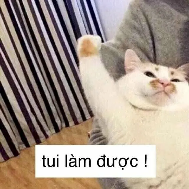 meme giơ tay