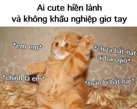 meme giơ tay