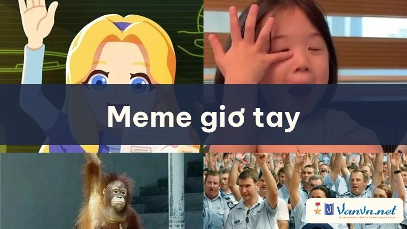 meme giơ tay