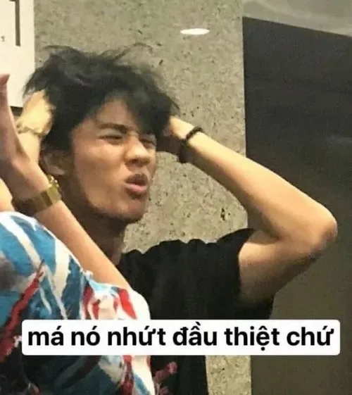 ảnh meme gục ngã