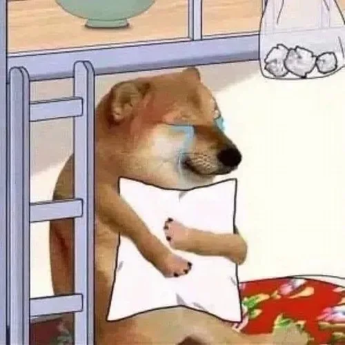 meme khóc gục ngã
