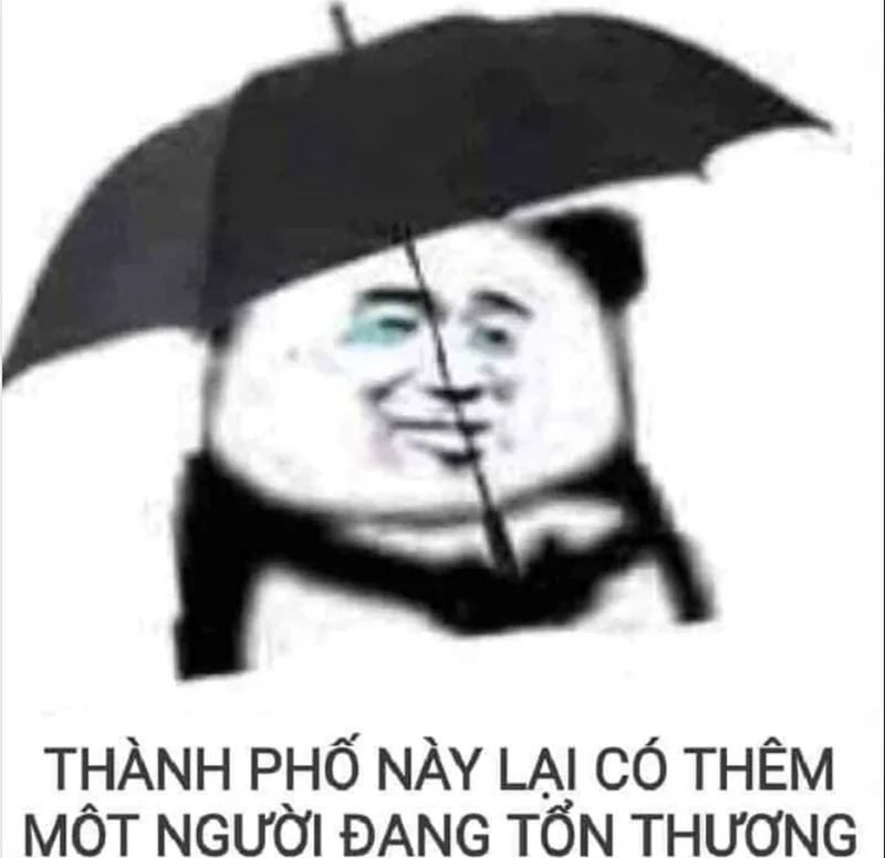 meme gục ngã vì yêu