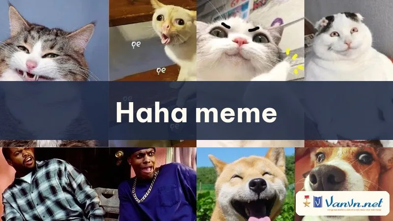haha meme