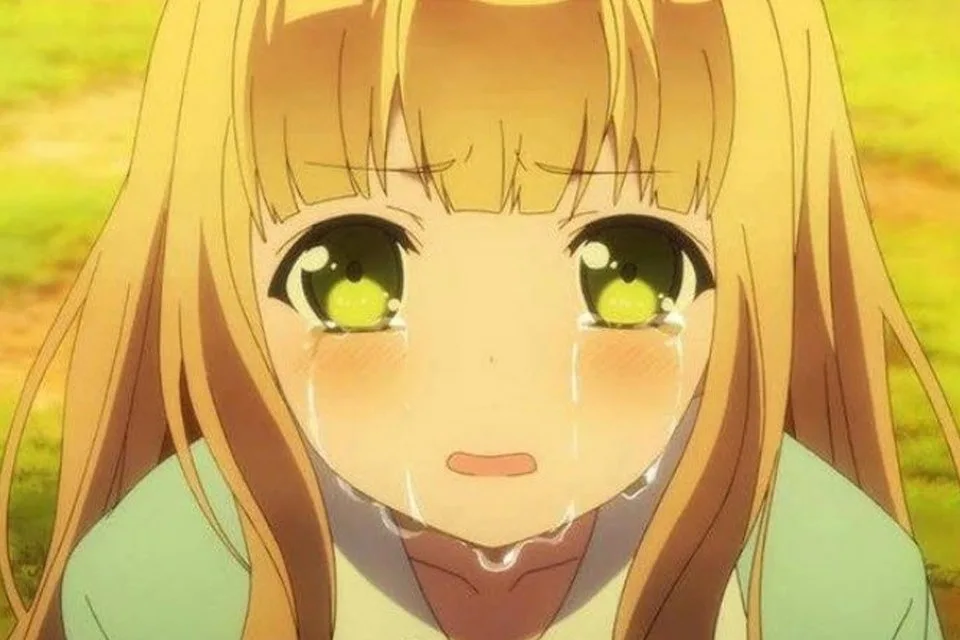 meme hentai