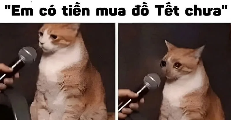 meme hết tiền