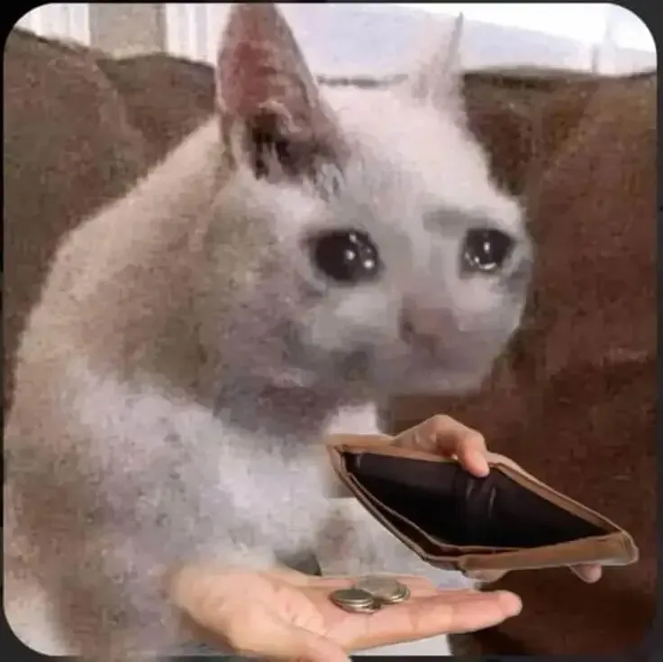 meme ví hết tiền