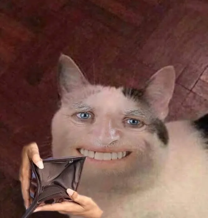 meme ví hết tiền